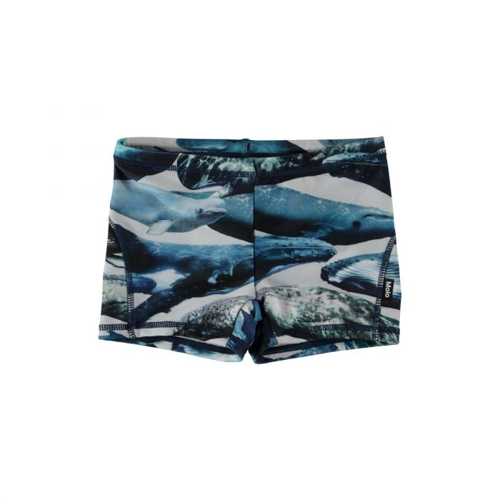 Molo - UV Zwemshort voor jongens - Norton -  Whales